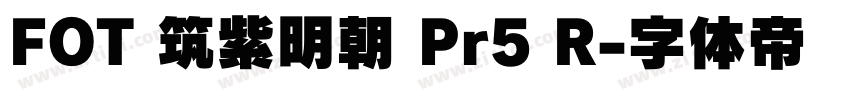 FOT 筑紫明朝 Pr5 R字体转换